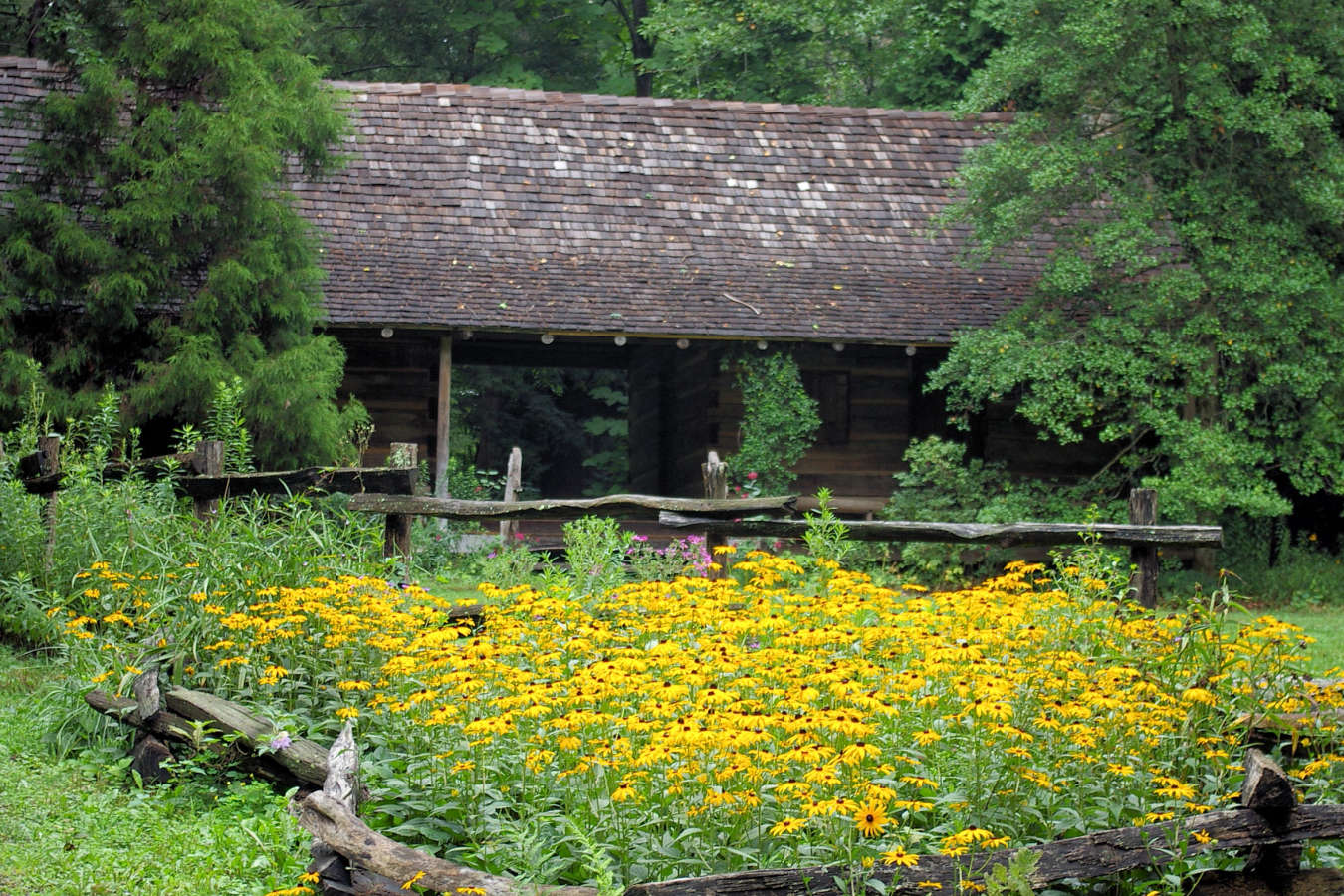 UNCA Botanical Garden: A Place of Reflection UNCA Botanical Garden: A Place of Reflection