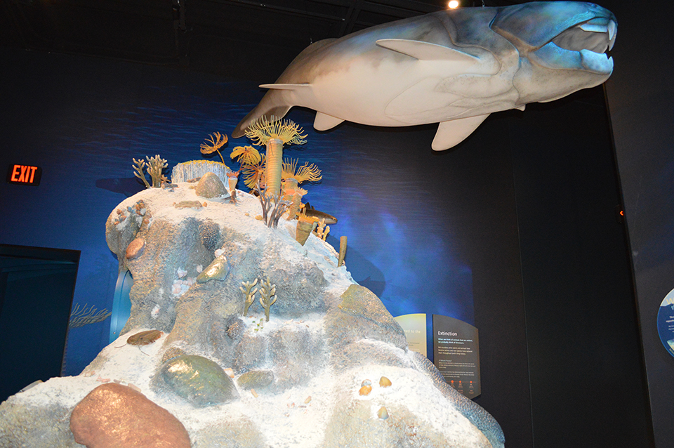 Devonian sea and whale 1