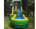 Palm Tree Water Slide For Rent