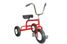 Adult Tricycles For Rent Houston