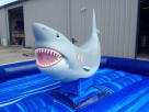 Mechanical Shark