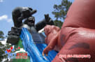Gorilla Vs T-Rex Slide