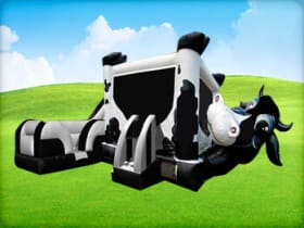 Cow Belly Bouncer Rental