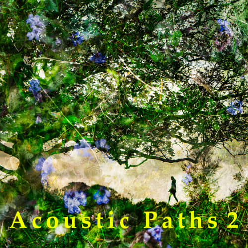 Acoustic Paths 2
