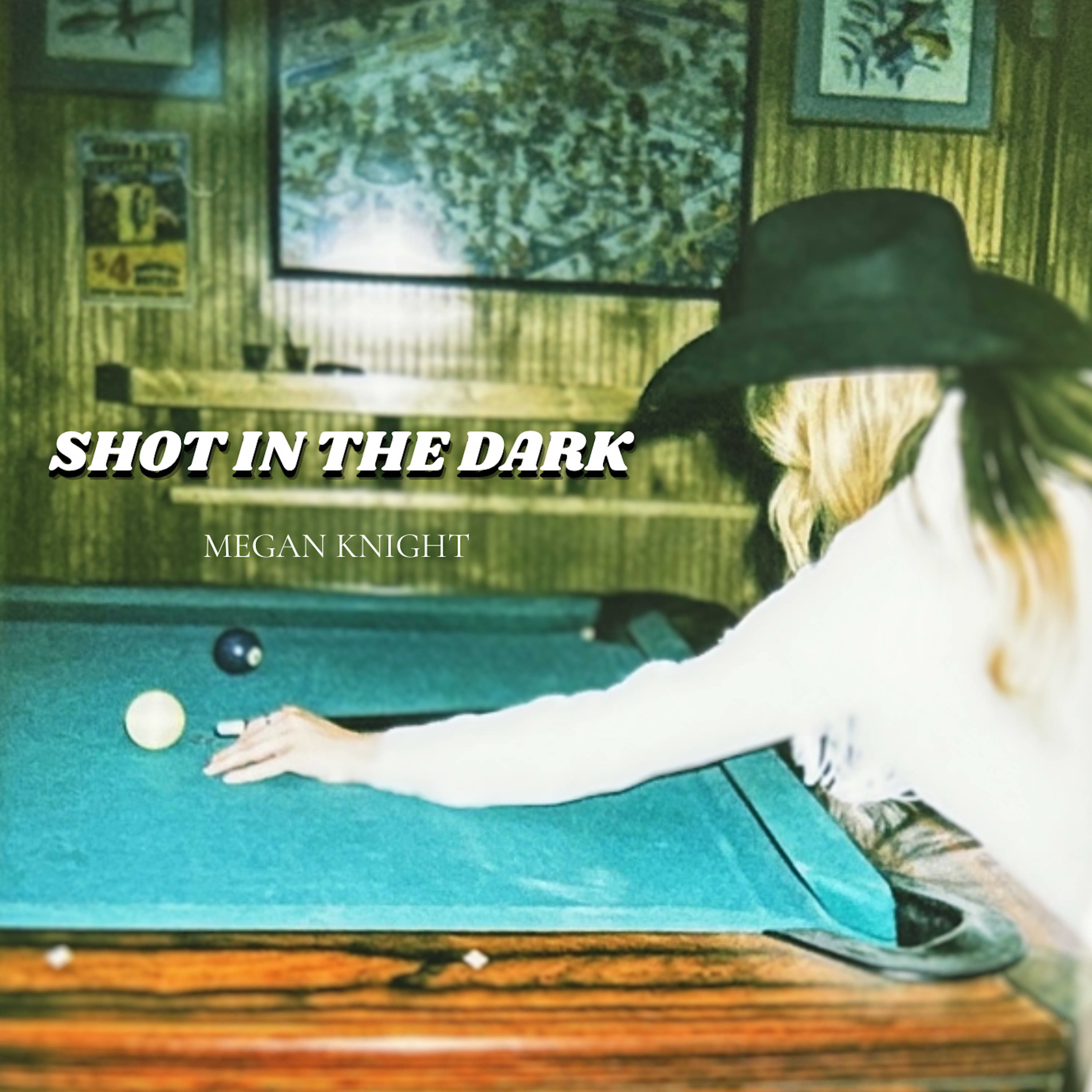 Shot In The Dark