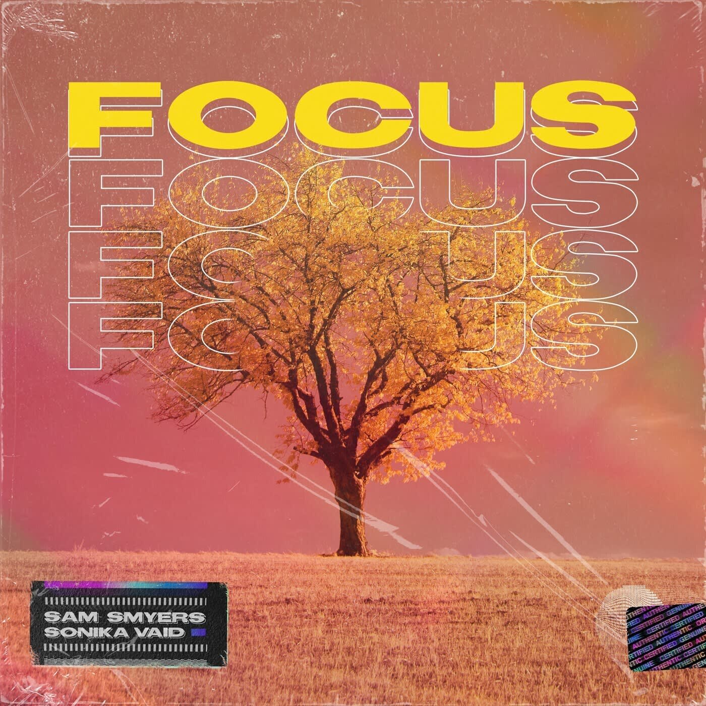 Focus (Master Only)