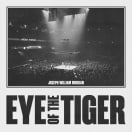 Eye Of The Tiger (Survivor Cover)
