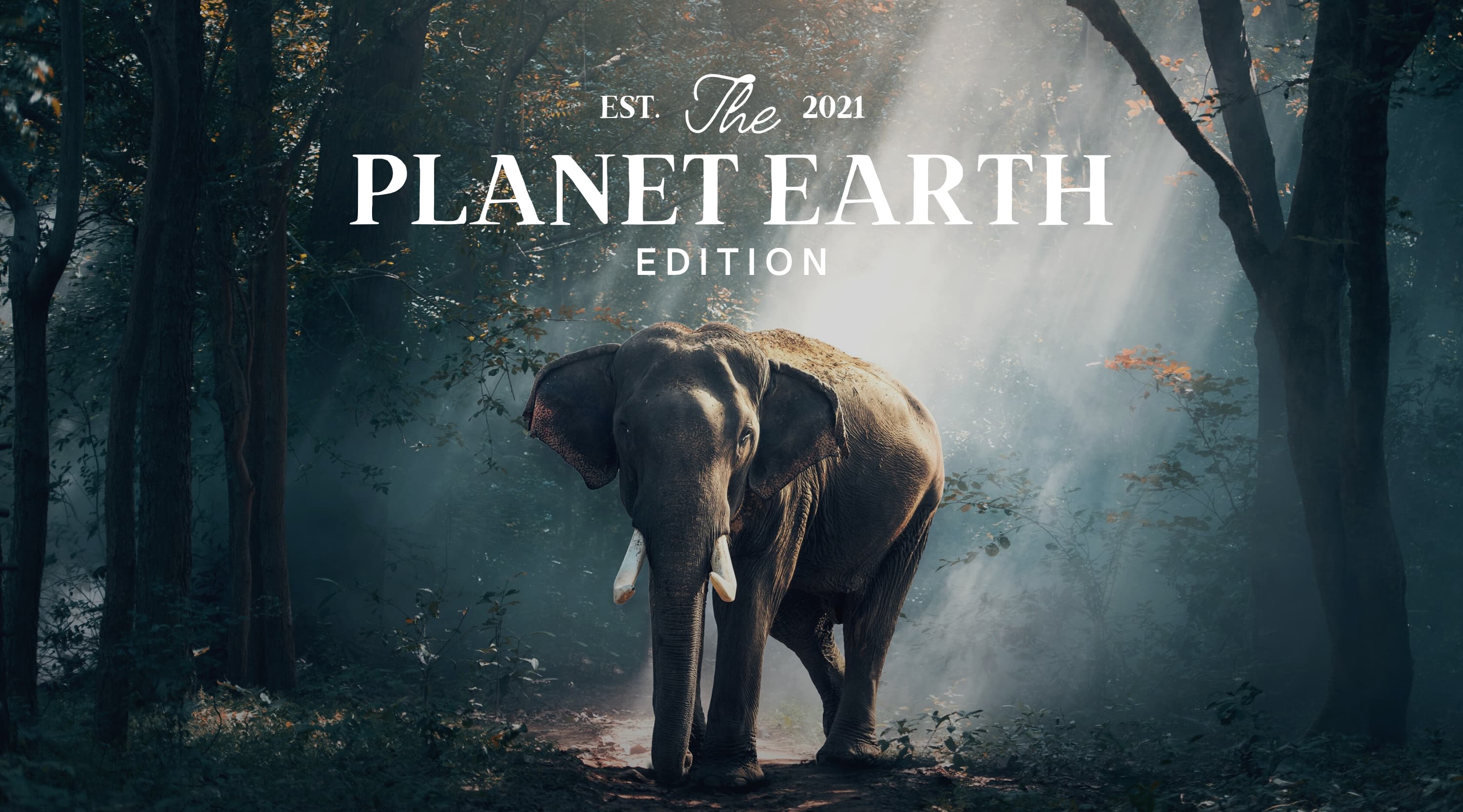 Documentary Special: Our Planet