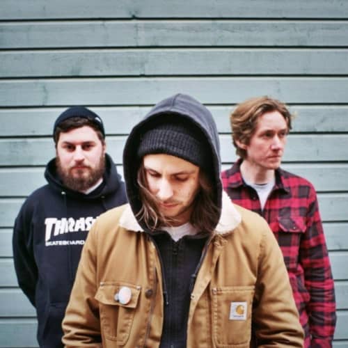 Black Foxxes
