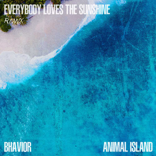 Everybody Loves The Sunshine (Remix)