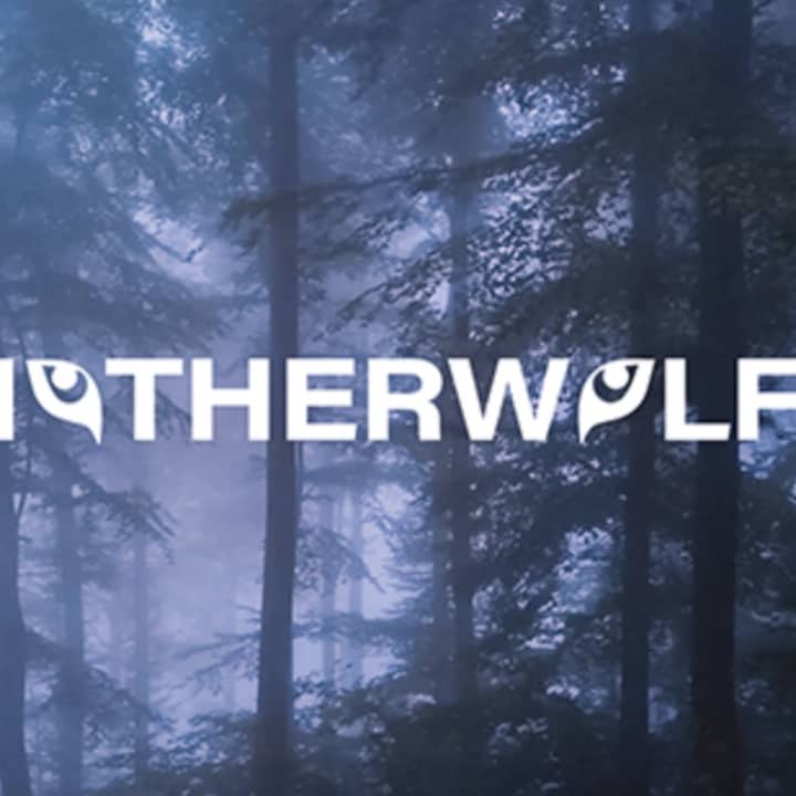 Motherwolf LLC