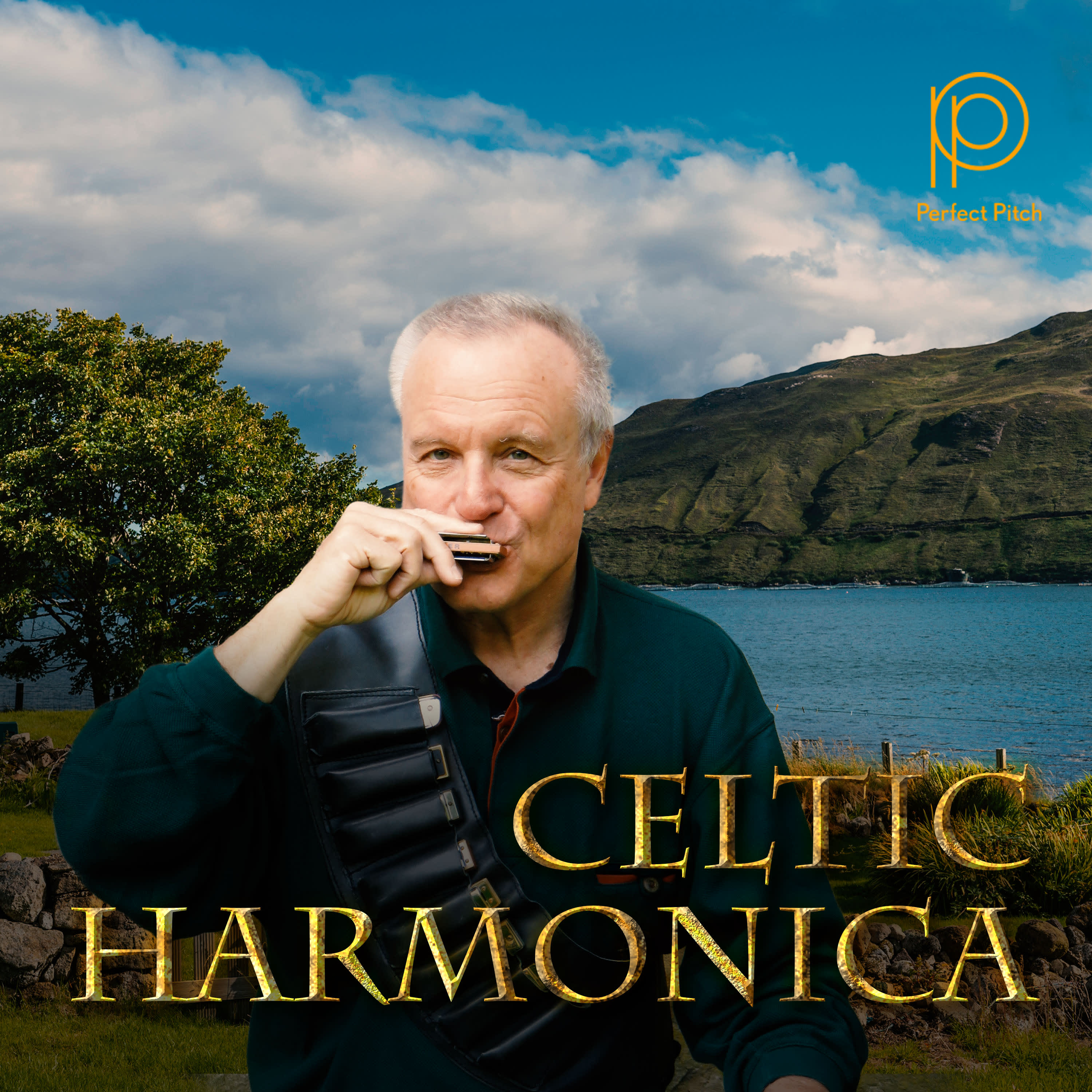 Harmonica Hornpipe