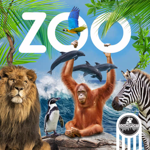 Zoo Animals