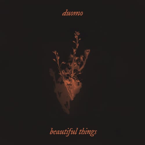 Beautiful Things (Benson Boone Cover) - Single