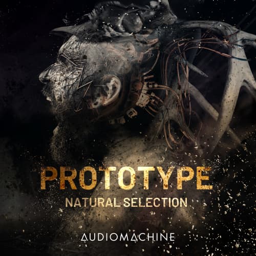 Prototype- Natural Selection