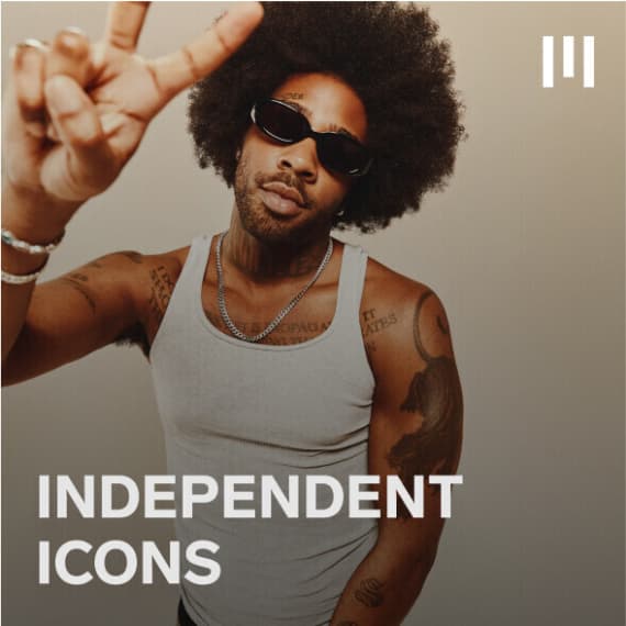 Independent Icons