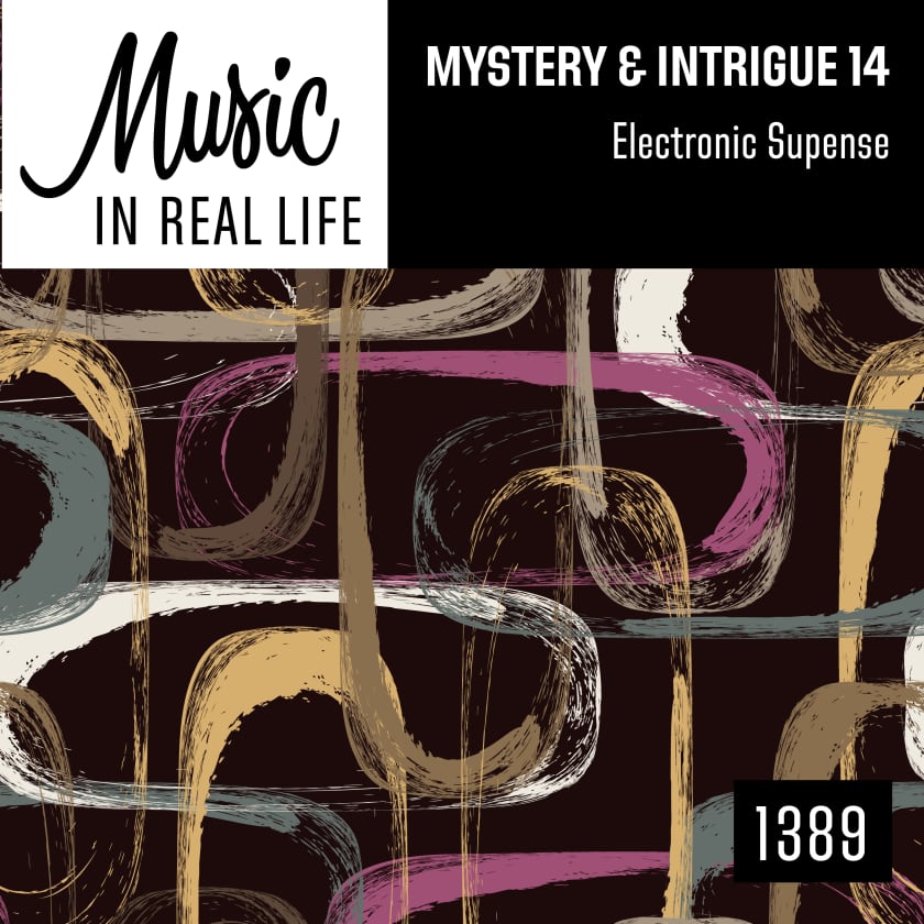 Mystery And Intrigue 14 Electronic Supense