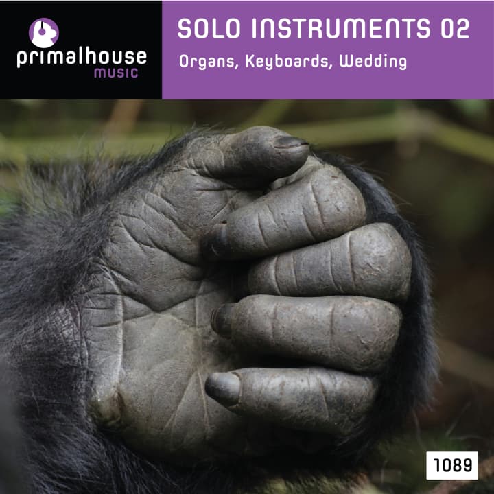Solo Instruments 02 Keyboards, Organ, Piano, Etc