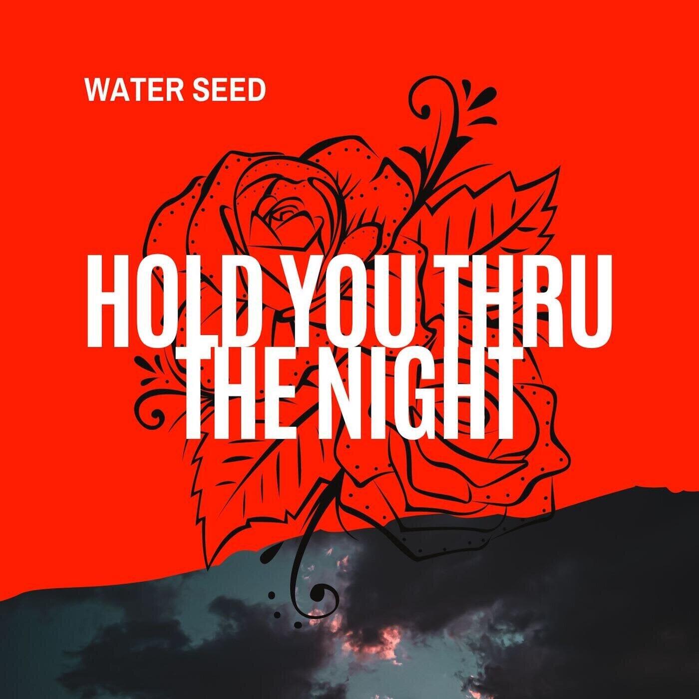 Hold You Through the Night (Instrumental)