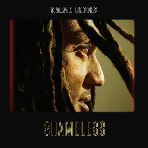 Shameless - Single