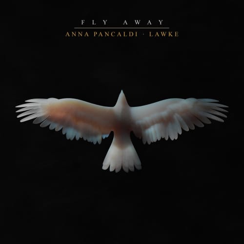 Fly Away (Lenny Kravitz Cover) - Single