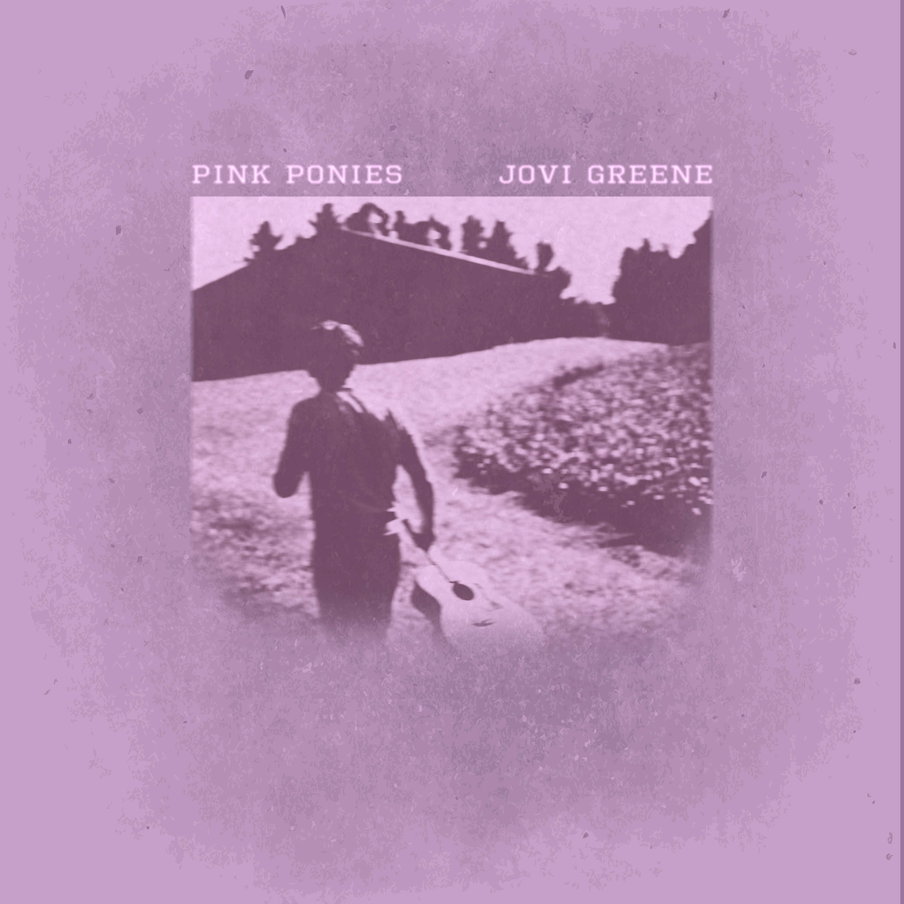 Pink Ponies