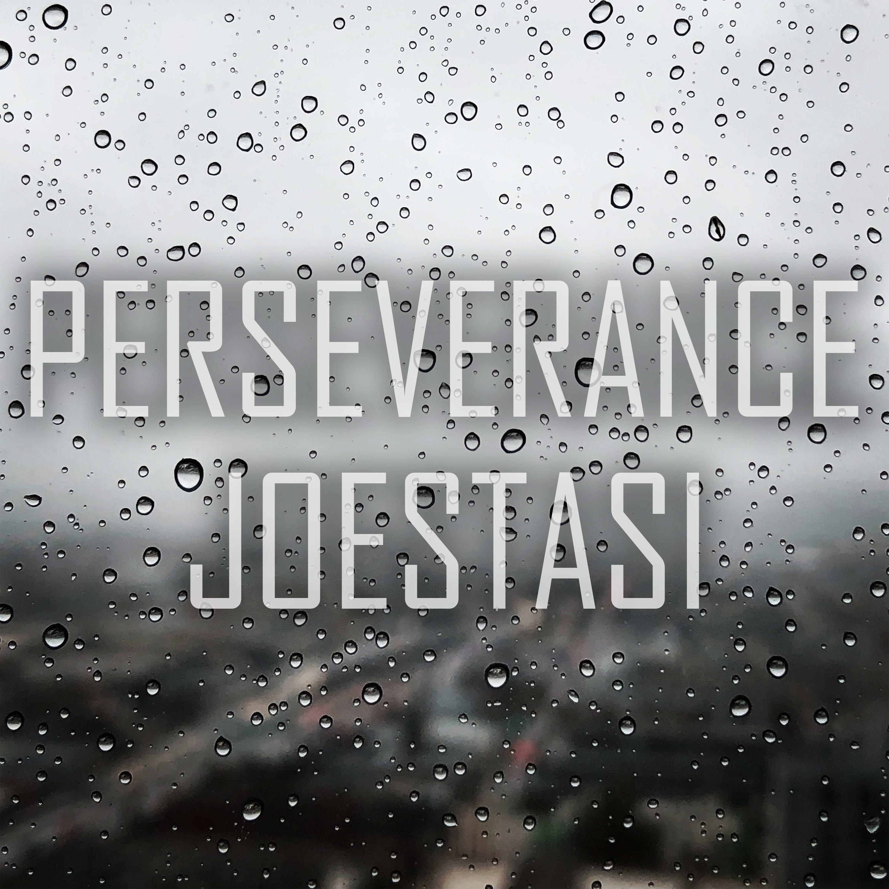 Perseverance