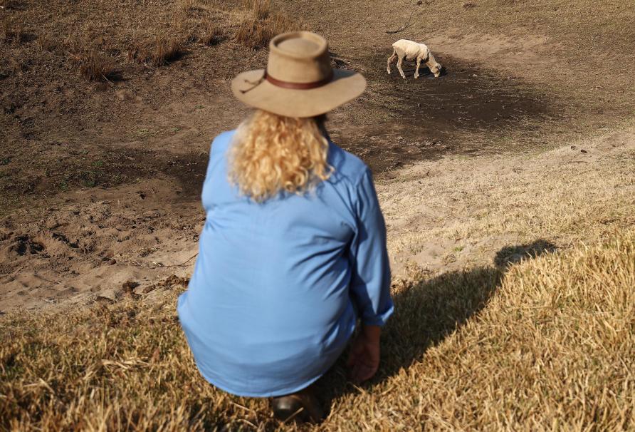 Budgeting For Drought Pursuit By The University Of Melbourne