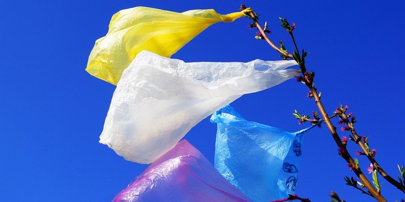 Plastic Bag Charges, Habit Disruption and Spillover Effects