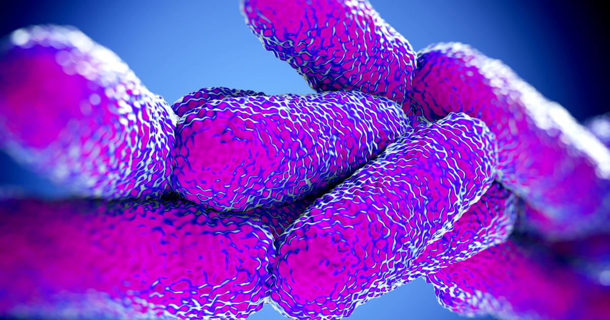 The immune legions fighting Legionnaires’ disease | Pursuit by The ...