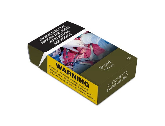 Plain Speaking: Understanding the World Trade Organisation Panel Report on Tobacco Plain Packaging