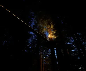 Off Grid Treehouse Edition