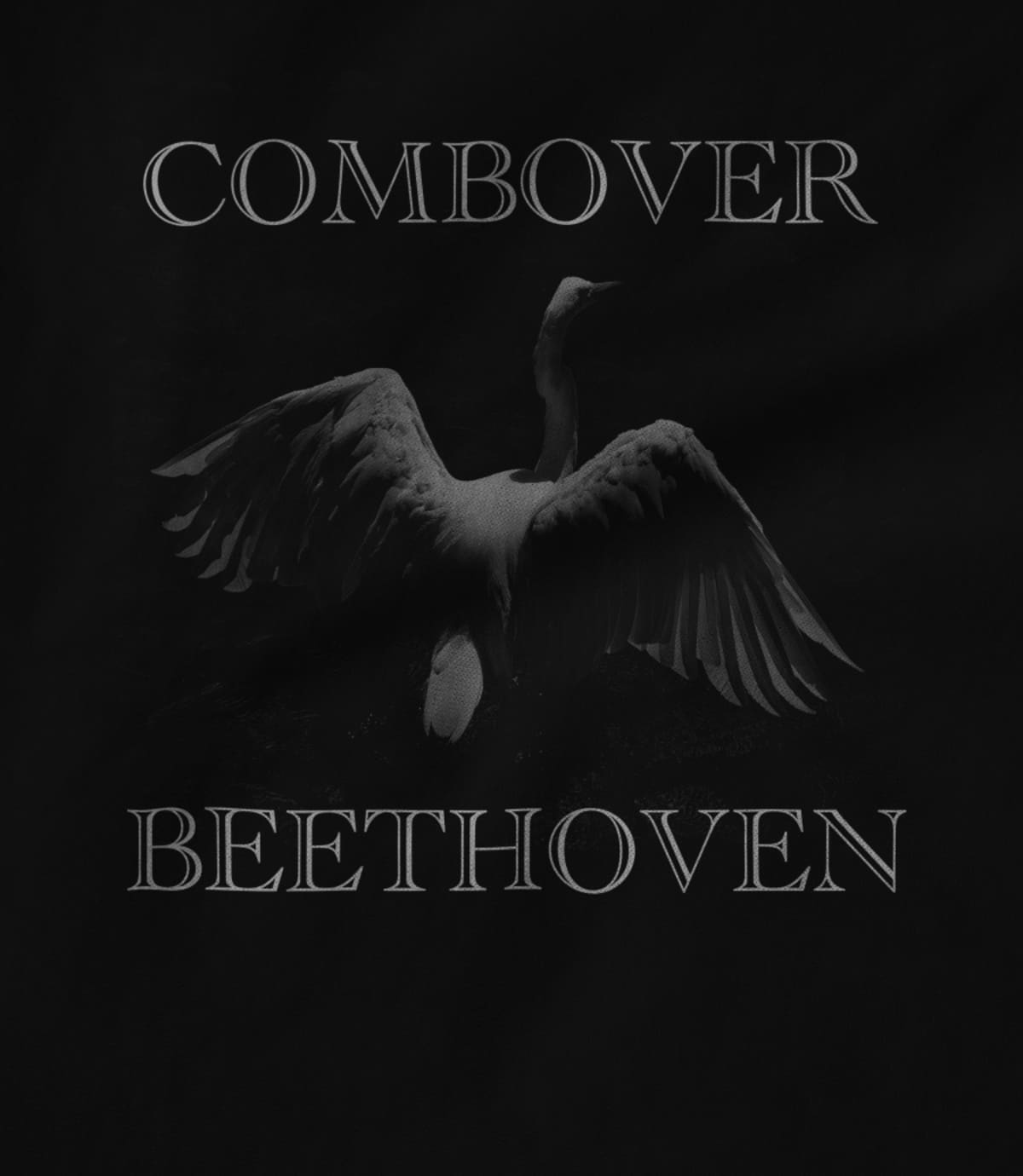 Combover Beethoven