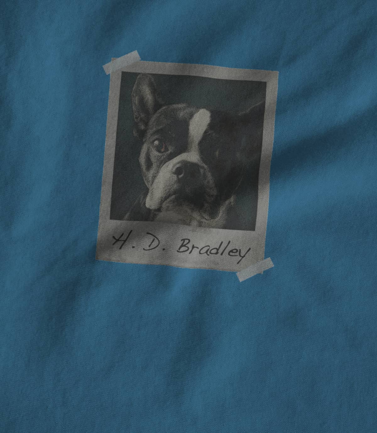 HD Bradley