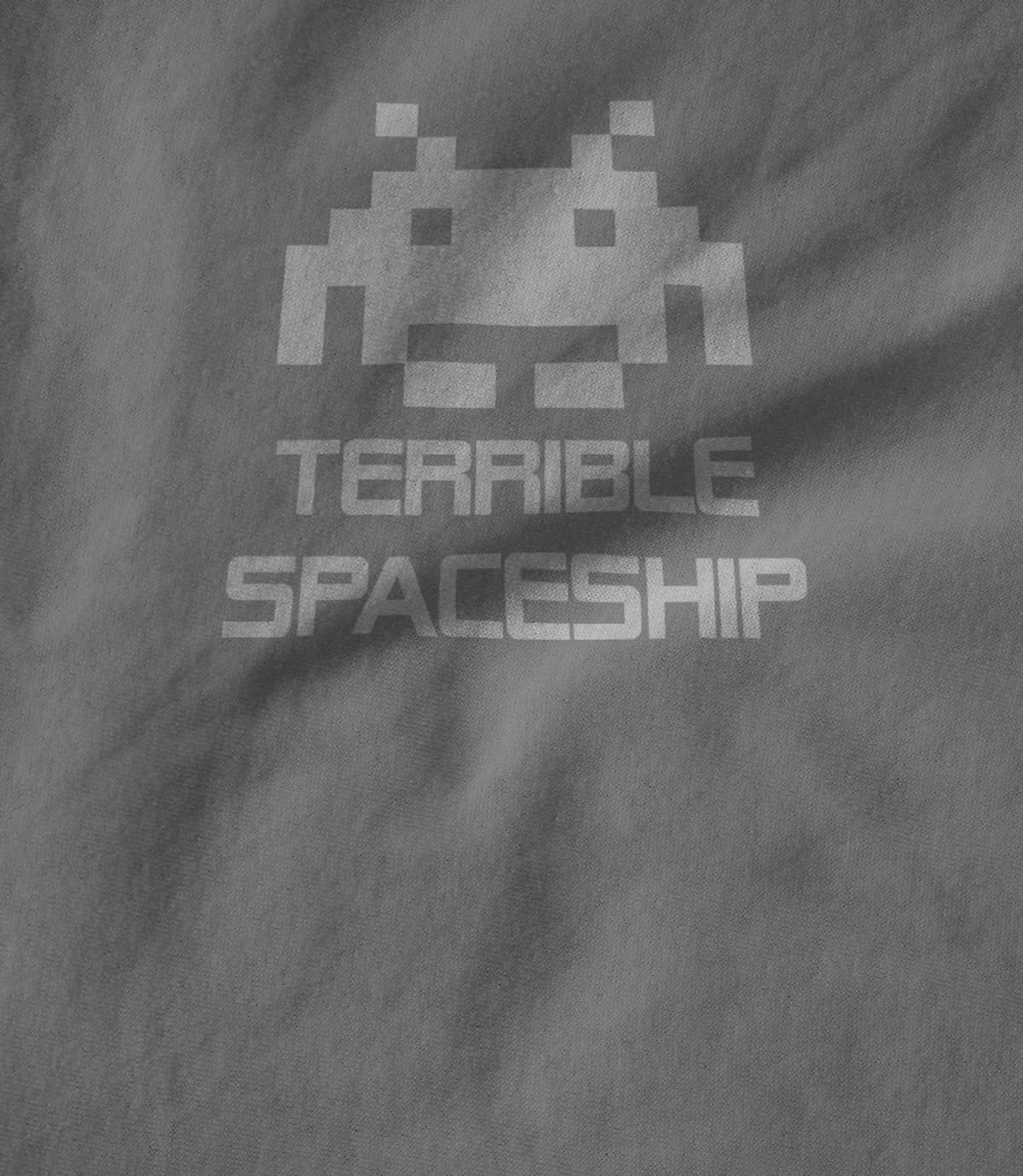Terrible Spaceship