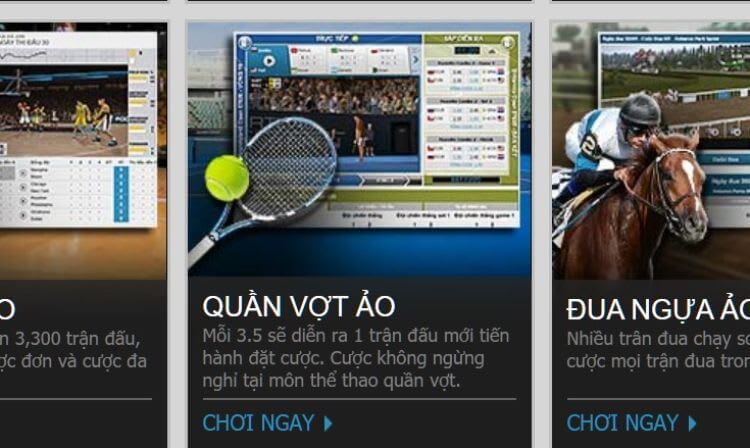 Khám phá cách chơi cá cược bóng chuyền và tenis trực tuyến hiện nay