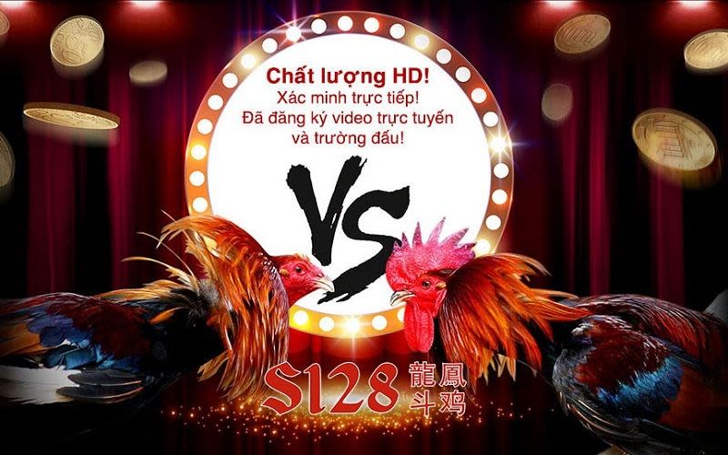 Những điều cần biết về đá gà trực tuyến trên mạng xem da ga truc tuyen - Những điều cần biết về đá gà trực tuyến trên mạng