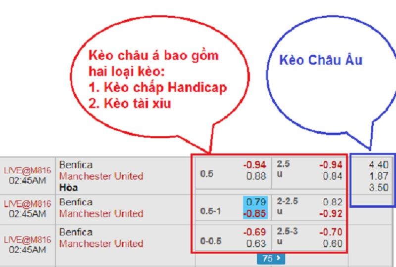 Kèo châu Âu là gì? Hướng dẫn cách soi kèo châu Âu hiệu quả từ chuyên gia keo chau au - Kèo châu Âu là gì? Hướng dẫn cách soi kèo châu Âu hiệu quả từ chuyên gia