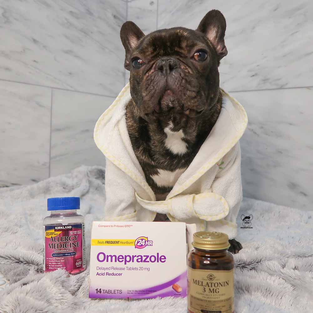 how much omeprazole can i give my dog