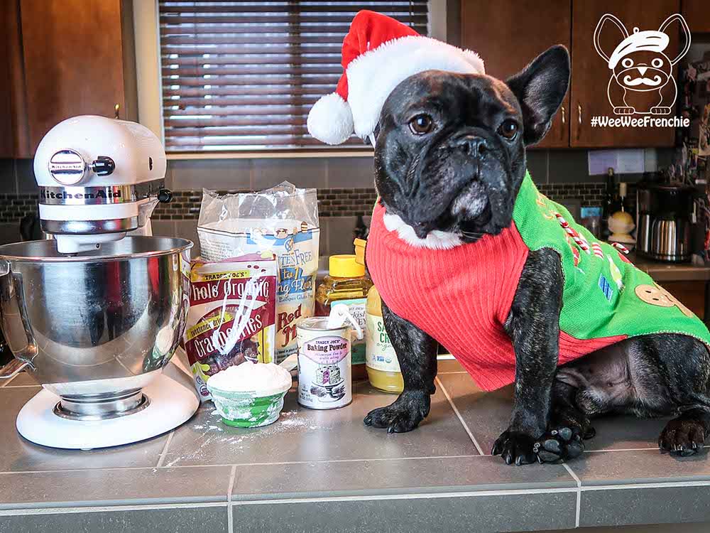 Holiday Baking with Your Dog