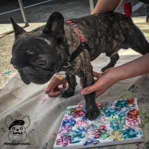 Paw paint for store dogs