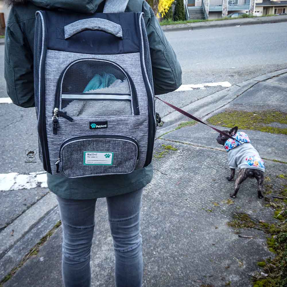 Pet Carrier Backpack