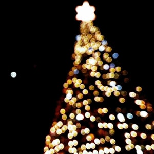 Festival of Trees