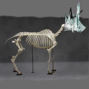 Town Center Art Space: Forest Spirit