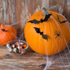 WE ART! - Festive Spider Web