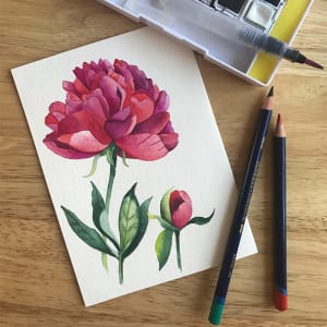 Creative Illustration Workshop