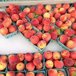 *TEMPORARILY CLOSED* GROWNYC’S GREENMARKET IN THE OCULUS
