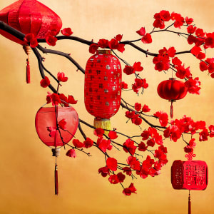Lunar New Year Westfield Garden State Plaza