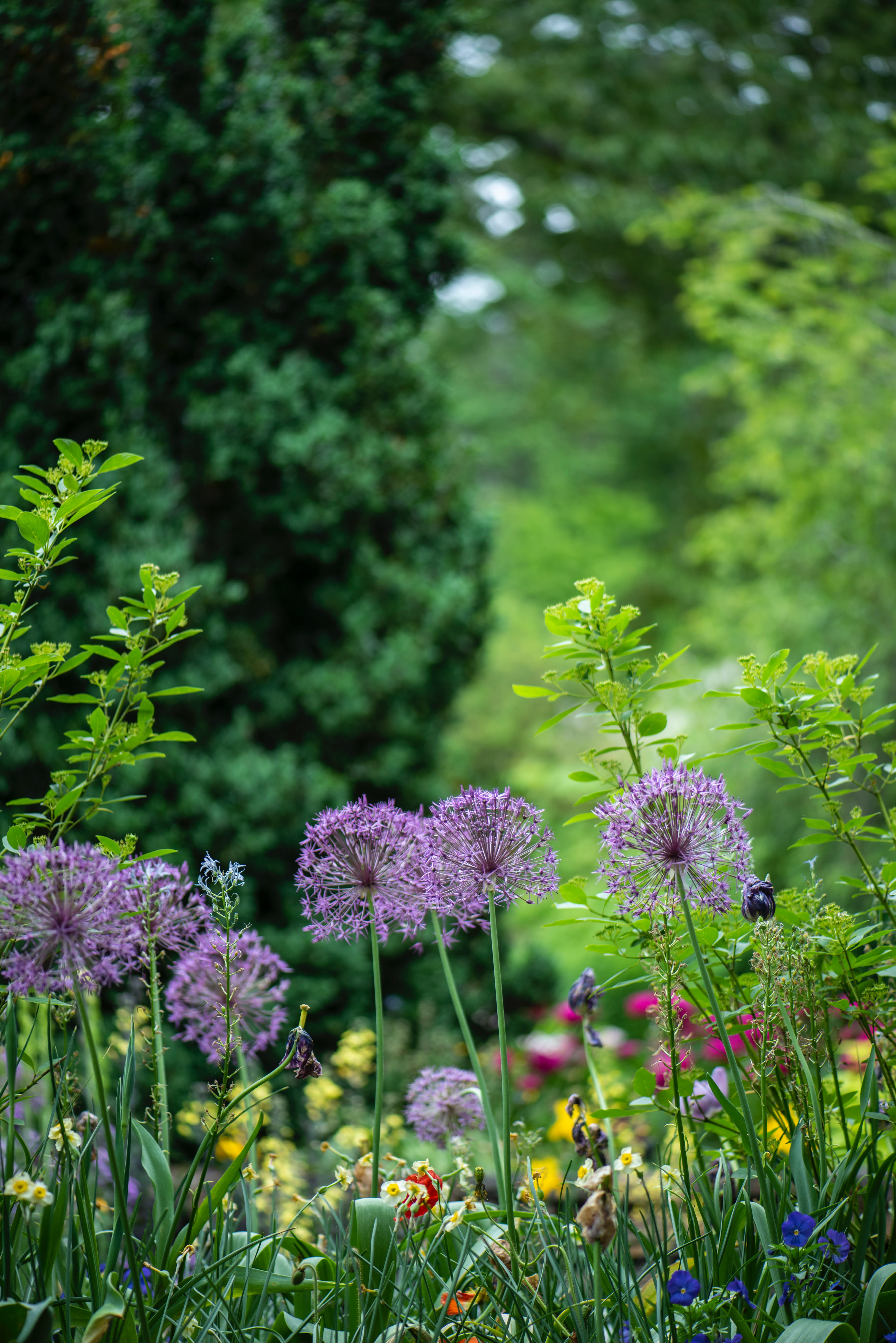 Sustainable Gardening: Hardscaping and Landscaping - Wildgrid Home